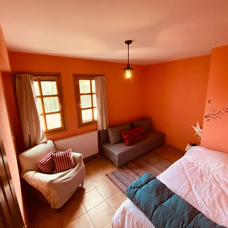 Villa Forest *