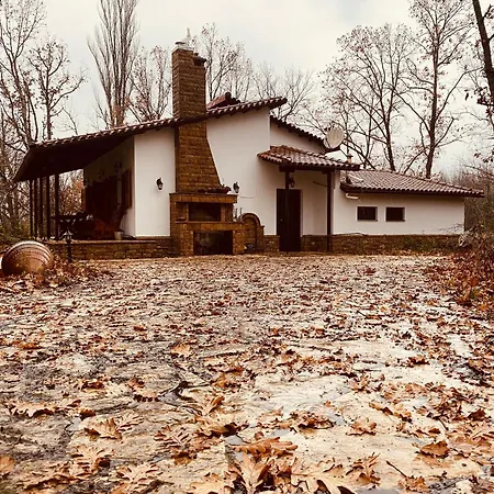 Forest Villa