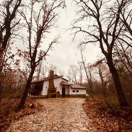 Forest Arnaia