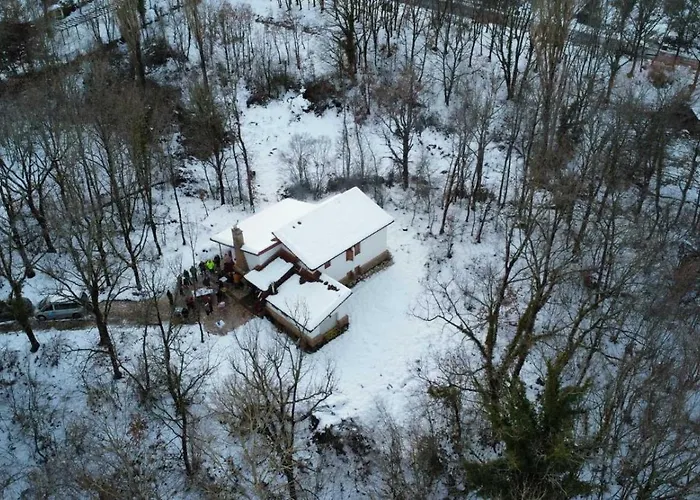 Forest Villa