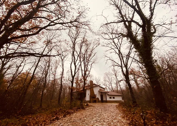 Villa Forest