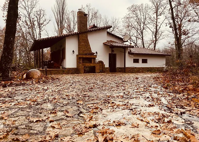 Forest Villa