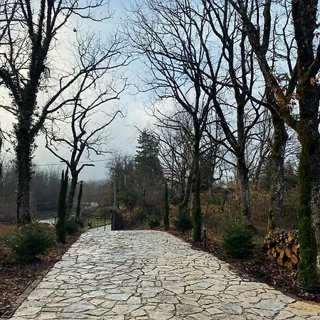 Vila Forest