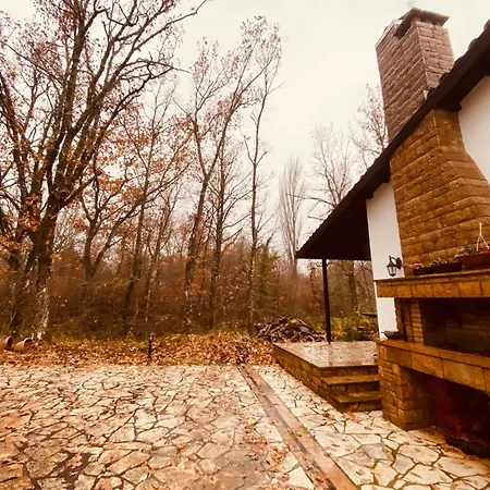 Forest Vila Arnaía