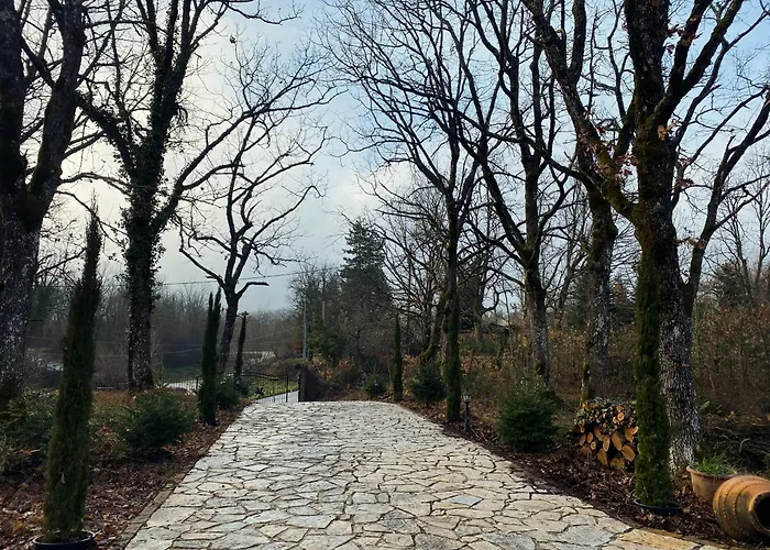 Villa Forest