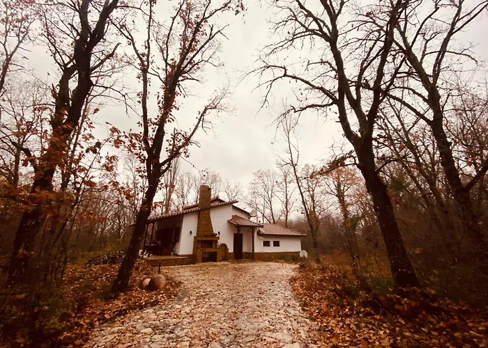 Forest Arnéa